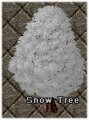 A Snow Tree